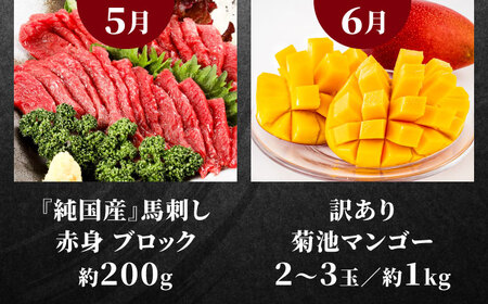 先行予約4回定期便 合志市肉と果物スタンダード定期便 シャインマスカット馬刺しAYZZ010