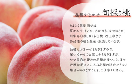 旬採り桃(品種おまかせ) ご家庭用 5-7玉 (岡山県産) もも 真庭市 【KF-A004-02】