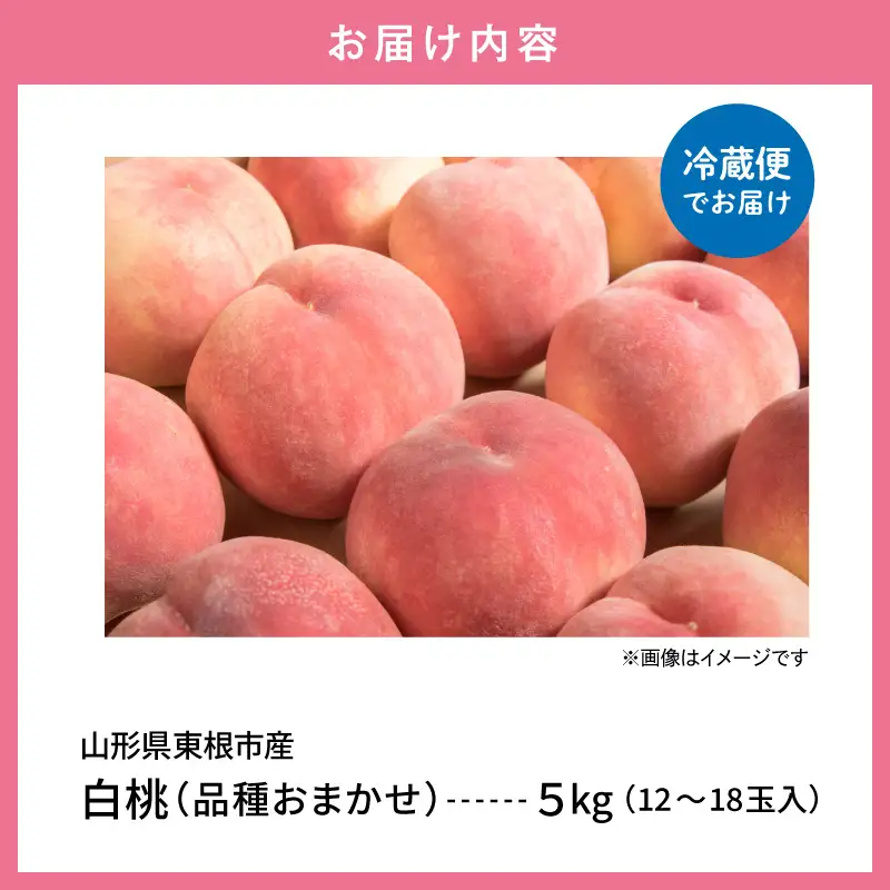 【2026年産】採れたて白桃(品種おまかせ)約5kg (12～18玉)
