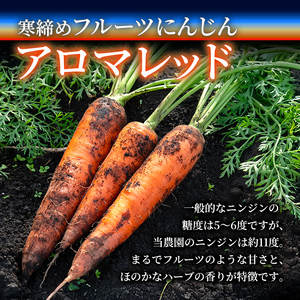 寒締めフルーツ にんじんジュース ～大地の恵み～ 200ml 10本入り ニンジン にんじん 有機野菜 有機 オーガニック JAS ジュース 常温 常温保存 贈答 ギフト 詰め合わせ 【株式会社レインボーフューチャー】【ho1605】