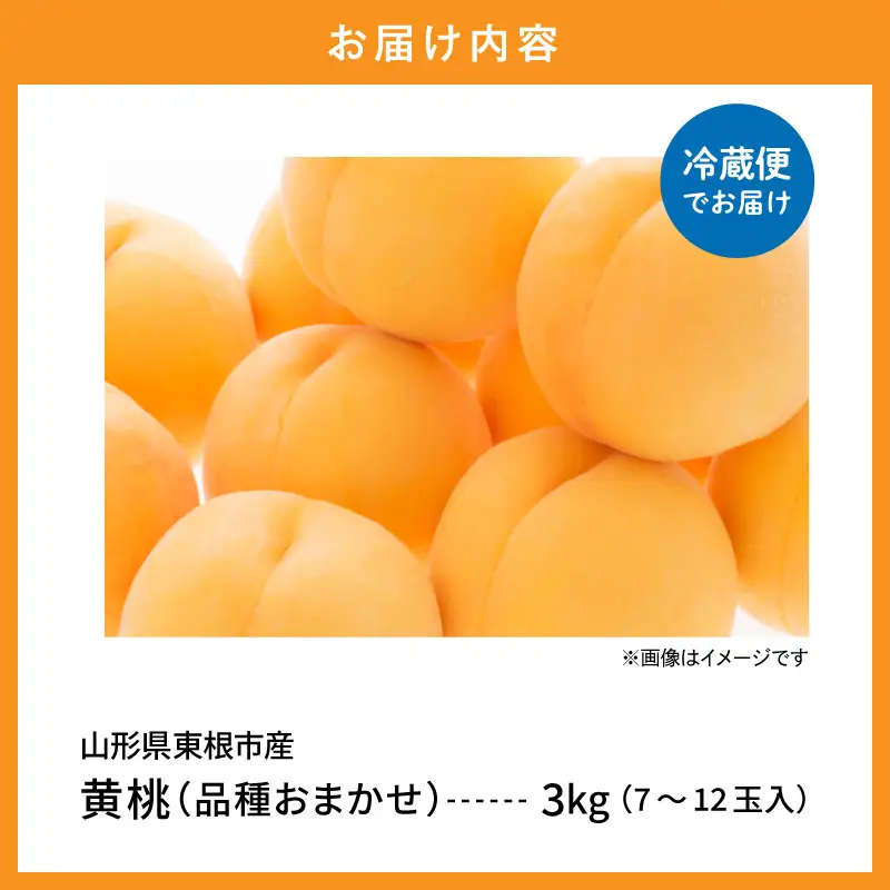 【2026年産】採れたて黄桃(品種お任せ)約3kg (7～12玉)もも