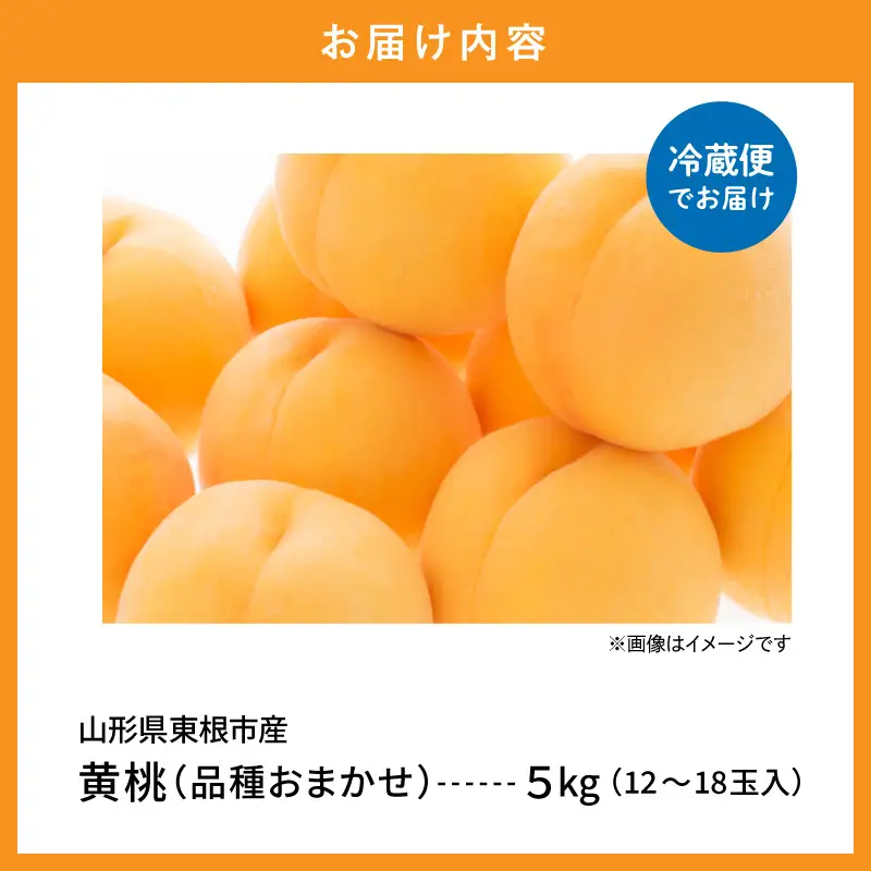 【2026年産】採れたて黄桃(品種お任せ)約5kg (12～18玉)