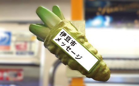 【伊豆箱根鉄道駿豆線 共通返礼品】市町オリジナルデザインつり革にメッセージ掲載（伊豆市・伊豆の国市・函南町・三島市）駿豆線車内掲出サービス