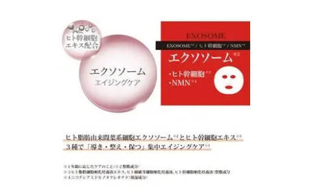 【定期便 全4回】国産　美容フェイスマスク（エクソソーム）30枚×3セット×4回（計360枚）