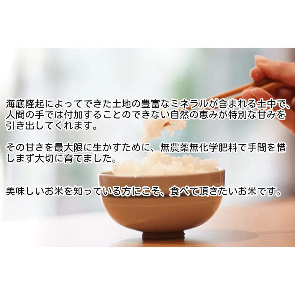 令和7年産　魚沼産コシヒカリ（南魚沼塩沢産）JAS有機栽培米「さとみ」白米５kg【銘柄米 ブランド米 精米 こしひかり コシヒカリ 魚沼産 新潟米 産地直送 お米 米 こめ コメ ご飯 御飯 ごはん】