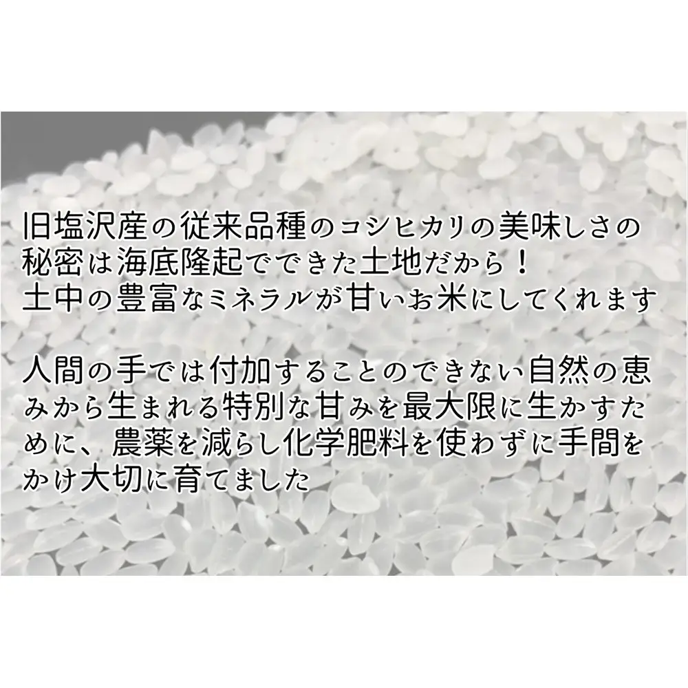 令和7年産　南魚沼塩沢産コシヒカリ　８割減特別栽培米　白米５kg【銘柄米 ブランド米 精米 こしひかり コシヒカリ 魚沼産 新潟米 産地直送 お米 米 こめ コメ ご飯 御飯 ごはん】
