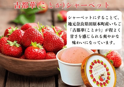 （冷凍）大人気！奈良田原本町の本格ジェラート6個セット ／ 古都華 いちご いちぢく シャーベット アイス スイーツ 道の駅レスティ唐古・鍵 奈良県 田原本町