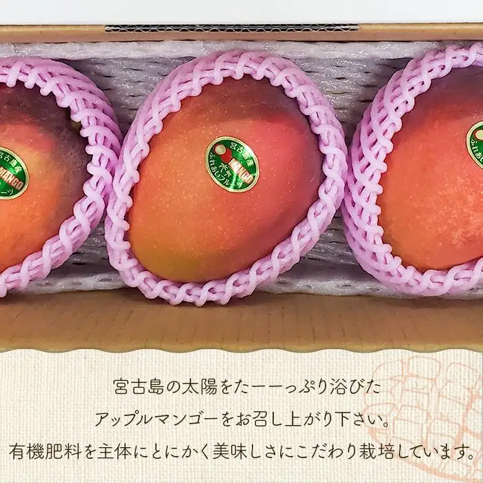 ＜2026年夏発送＞【家庭用】激うま！宮古島産アップルマンゴー1kg(2～3玉)ふれあいフルーツ宮古島(FA01)