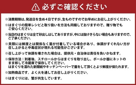 【指定日必須】 桑名産 天然はまぐり 6年～12年もの 500g ハマグリ 蛤 貝 カイ 天然 魚介 魚介類 海鮮 海の幸 冷蔵