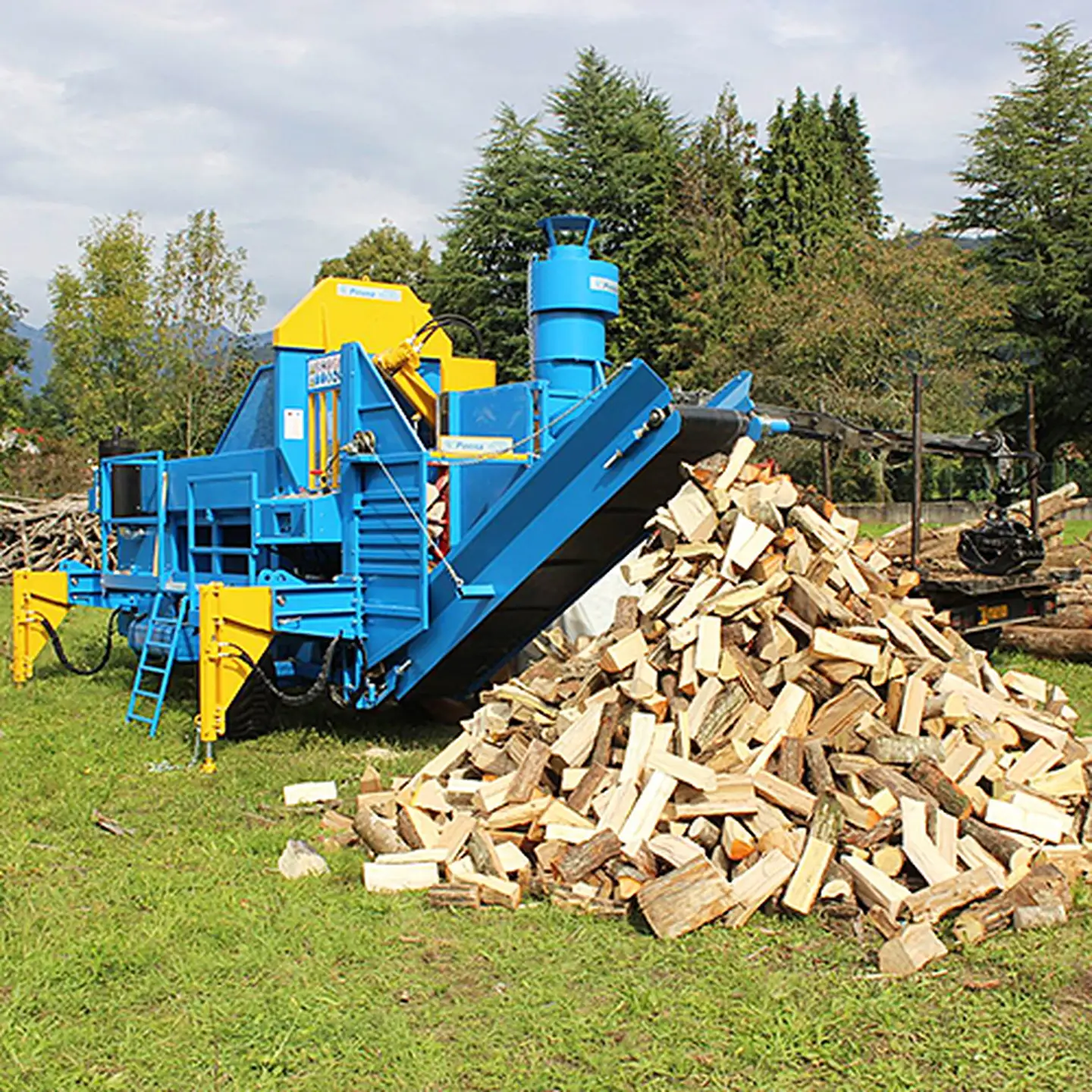 薪の王様「樫」：B140-032