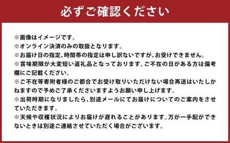 【訳アリ家庭用】岡山白桃 2キロ〈もっとも旬な品種の桃をお届け〉【2026年6月下旬～9月下旬まで順次発送予定】【桃 白桃 人気フルーツ 人気桃 おすすめフルーツ 岡山白桃 岡山フルーツ 岡山県 倉敷市】
