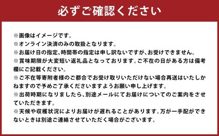【訳アリ家庭用】岡山白桃 3.6kg〈もっとも旬な品種の桃をお届け〉【2026年6月下旬～9月下旬 発送予定】【もも 果物 フルーツ 国産 人気 おすすめ 岡山県 倉敷市】