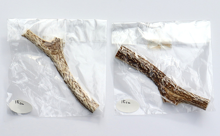 【犬のおもちゃ】シカの角 15cm×2本　中型犬用