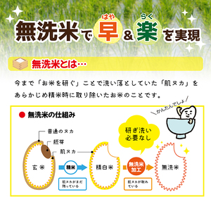 SB0832　令和7年産【無洗米】特別栽培米 つや姫　5kg(5kg×1袋) 農家直送 AG