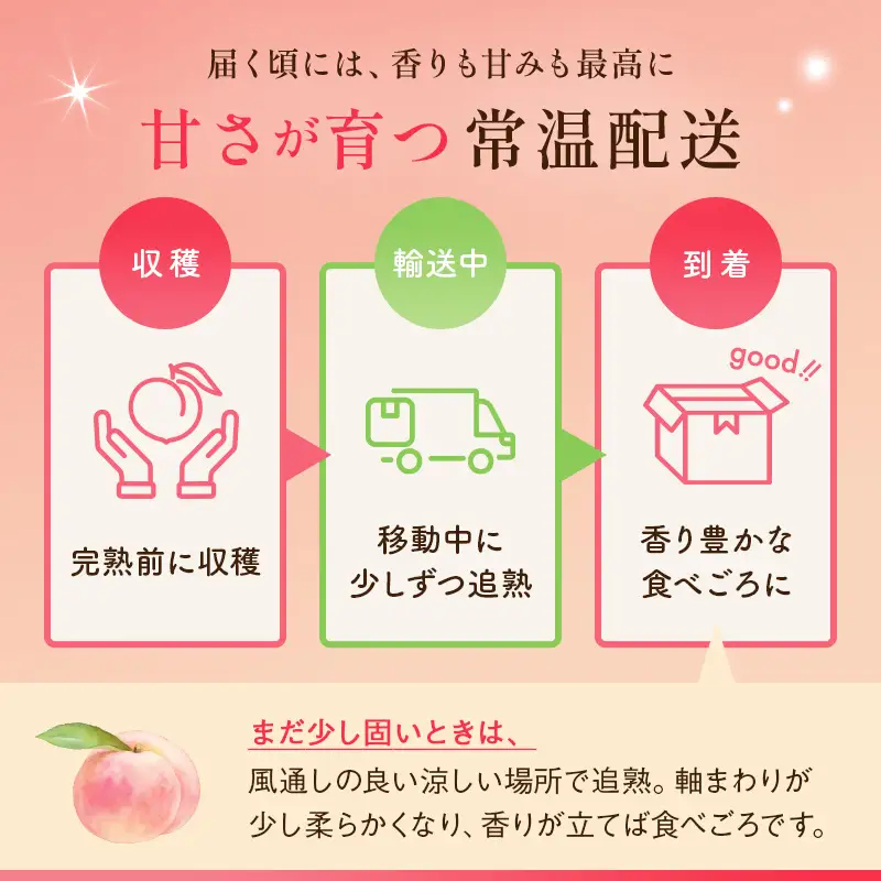 【2026年出荷分先行予約】福島県産 はつひめ 約3kg (10～15玉) 斎藤果樹園 オリジナル品種 伊達の桃 桃 フルーツ 果物 もも モモ momo  F21C-302