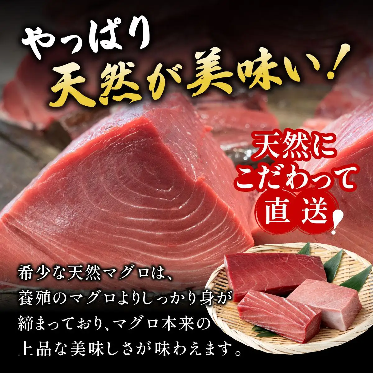 石垣島産 天然本マグロ 600g (まぐろ赤身・中トロ・大トロ) 