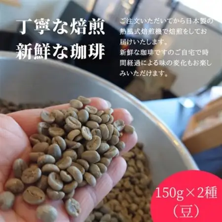 熊乃珈琲 スペシャルティコーヒー【中煎り・深煎り】(豆)【1624364】
