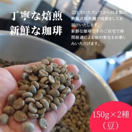 熊乃珈琲 スペシャルティコーヒー【浅煎り・中煎り】(豆)【1624365】