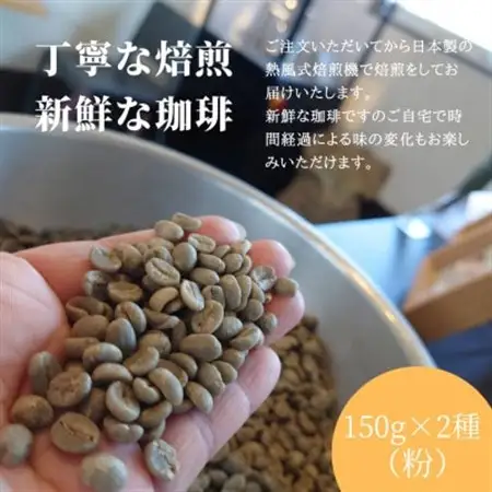 熊乃珈琲 スペシャルティコーヒー【中煎り・深煎り】(粉)【1624384】