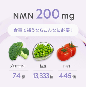 NMN サプリメント 18000mg (90粒) プランラボ [2471]