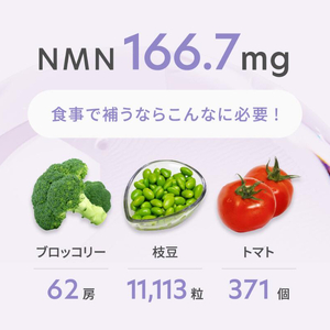 NMN サプリメント 5000mg (90粒) プランラボ [2472]
