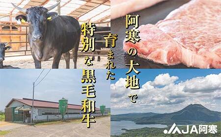 阿寒丹頂黒和牛 カットステーキ 300g×2 計600g 和牛 ステーキ 牛肉 肉 ビーフ 北海道産 冷凍 真空パック ギフト 贈答用 F4F-10170