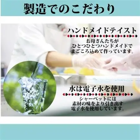 乳・卵不使用!ソイジェラートバニラ6個セット【配送不可地域：離島】【1672795】