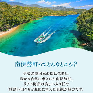 カヤック 体験 クーポン 20000円分 マリンスポーツ 観光 南伊勢