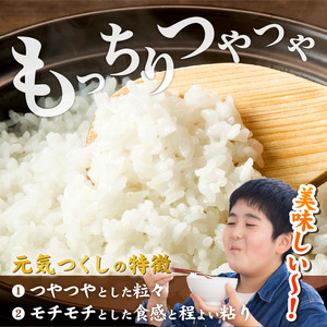 2025年新米 羽衣農園 元気つくし 白米 10kg（5kg×2） _ 2025年 新米 5kg × 2袋 計 10kg 福岡県産 精米 ブランド米 銘柄米 つやつや モチモチ 程よい粘り 冷めても美味しい ご飯 白ご飯 おにぎり 弁当 お米 食品 お取り寄せ 福岡県 久留米市 送料無料  〔Gr075〕
