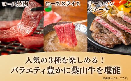 葉山牛 少量3種食べ比べセット(ロース・ローススライス・サーロインステーキ)[ASBD019]