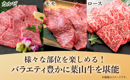 【全3回定期便】葉山牛750g　焼肉用ミックス 牛肉（ロース、モモ、カルビ等） 食べ比べ[ASBD031]