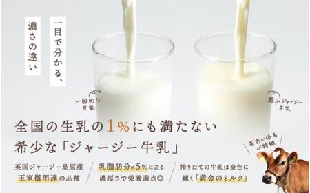 ひるぜんジャージーヨーグルト 10個 ヨーグルト 蒜山 岡山【hiru024-03】