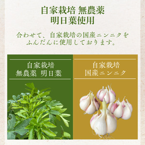 農家の手作り アシタバジェノベーゼ 100g×2個　【 ジェノベーゼ ソース 】