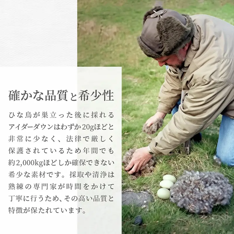 【備長炭入り】羽毛の王様アイダーダウン入り羽毛布団［シングル150×210cm］シルクの掛カバー付き FY25-362