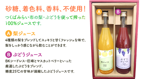地元農家が作る つくばみらい市産 梨 を使った 梨ジュース・ぶどうジュース 720ml 2本セット