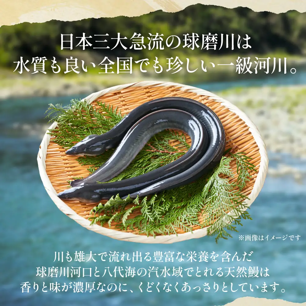 熊本県 八代市産 天然青うなぎの蒲焼 蒲焼セット 1尾（90g～110g） 自家製うなぎのタレ 鰻 ウナギ うなぎの蒲焼 丑の日 国産 うな丼 うな重