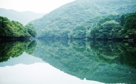 D4  【隔月6ヶ月定期便】【令和7年産】 隔月届く国際大会金賞「みやま米」 各2kg×2袋