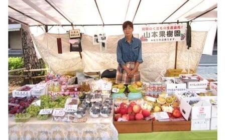 飛騨高山のリンゴジュース 1リットル×6本 | ストレートジュース 果汁100％ 高山産 完熟 サンふじ りんご 林檎 さっぱり 人気 飛騨高山 山本果樹園 MA011