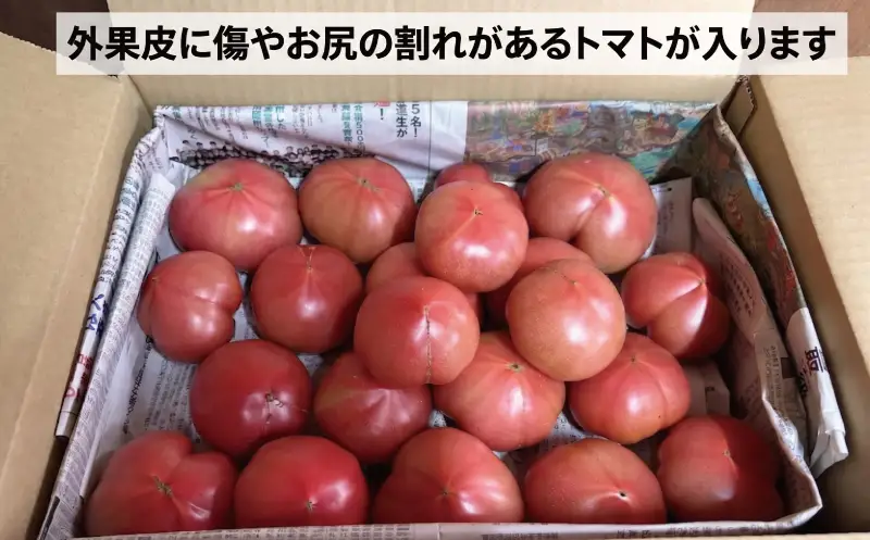 訳あり ハウス桃太郎トマト6kg  トマト TOMATO 野菜