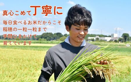＜3ヵ月定期便＞【令和7年産】龍ケ崎の特別栽培米 コシヒカリ 5kg ❙ こしひかり お米 米 こめ 白米 精米 冷めてもおいしい 美味しい こだわり いばらきみどり認定 おにぎり 茨城県 龍ケ崎市産