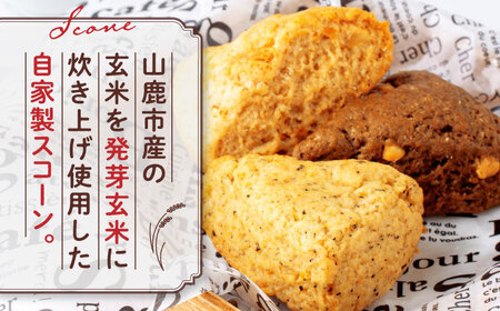 【全3回定期便】山鹿の恵み香り豊かなスコーンセット（3種類×2個）【BANBA BON BONS】[ZDW006]