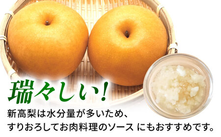 【先行予約】新高梨　約3kg 梨 ナシ フルーツ 果物 【日本フルーツ株式会社】[ZFJ064]
