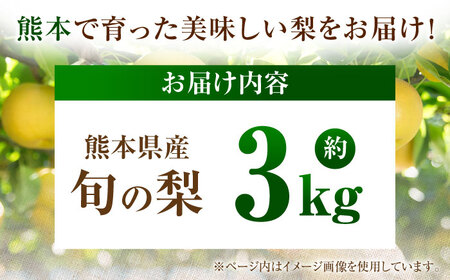 【先行予約】厳選おまかせ梨 約3kg 梨 豊水梨 秋月梨 新高梨 果物 フルーツ 【日本フルーツ株式会社】[ZFJ066]