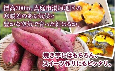 訳あり】針山さんちのさつまいも 紅はるか 3kg / さつまいも 紅はるか