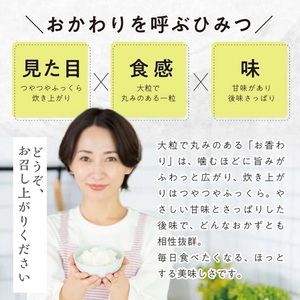 SE0602　【3回定期便】無洗米 お香わり（山形95号）　5kg×3回(計15kg)　農家直送『いいあん米』 AG