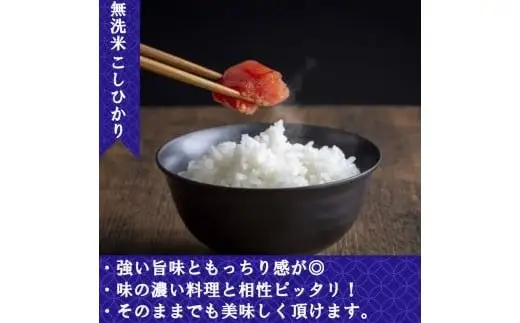  【令和7年産米】（6ヵ月定期便） 無洗米 奈良県産 こしひかり 計30kg（5kg×1袋×6回）／ 全農パールライス 米 お米 白米 国産 奈良県 葛城市 こめ コメ ライス ご飯 ごはん ふっくら もちもち つやつや おいしい 美味しい 贈り物 国産 特産品 産地直送 数量限定 人気 おすすめ 5キロ 5kg 6ヵ月【prr-tkb004】