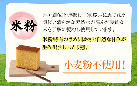 竹内菓子舗 竹内菓子舗 4代目と喧嘩しても作りたかった5代目の米粉カステラ 10個入り [A-203004] / カステラ かすてら 菓子 和菓子 銘菓 個包装 ギフト プレゼント 上質 しっとり 優しい 北陸 個包装 内祝い 誕生日 贈り物 お土産