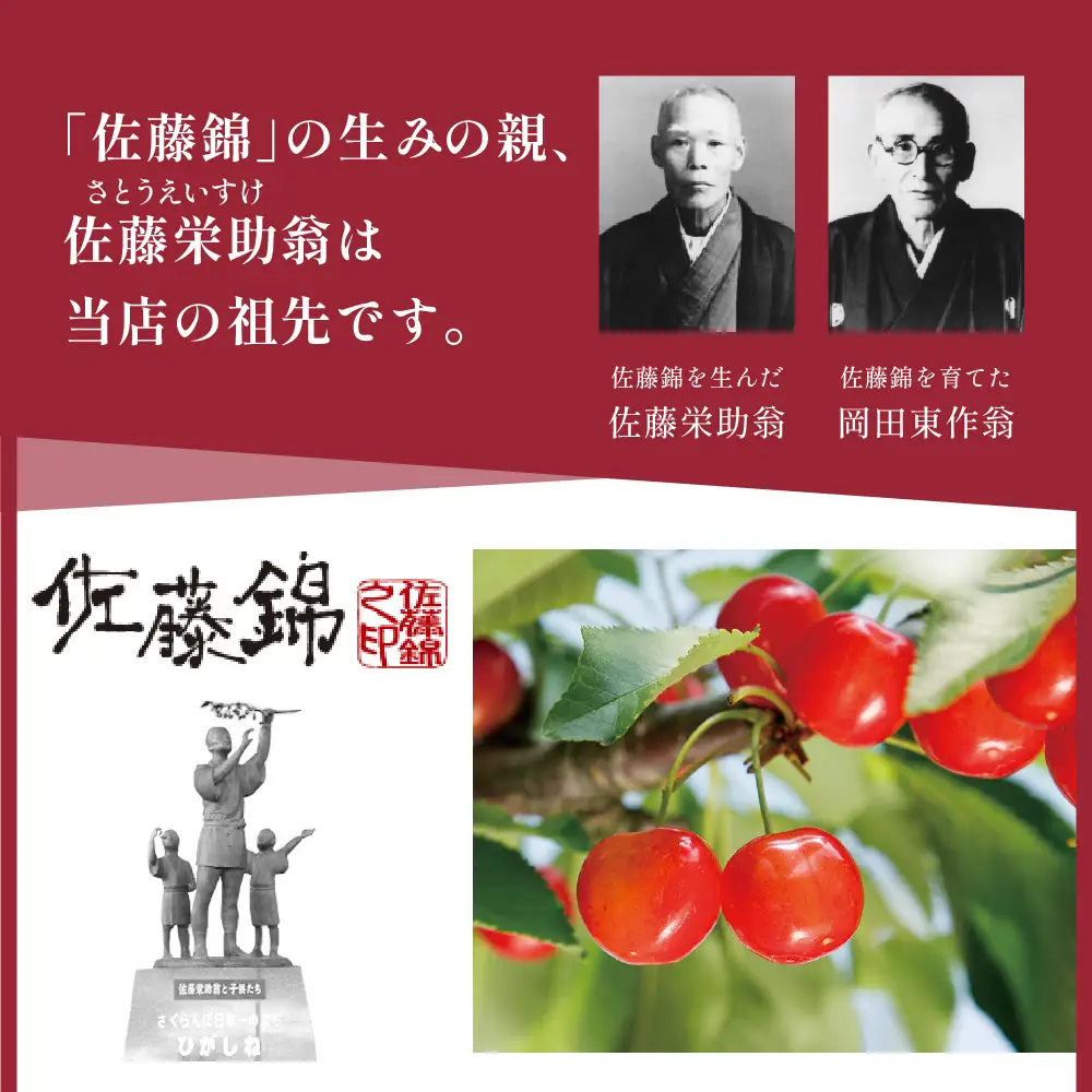 さくらんぼ 佐藤錦 100% ジュース 200ml×3本 ジュース