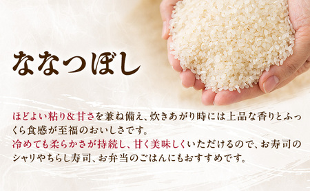 北海道産 ななつぼし 無洗米 10kg 米 特A 獲得 白米 ごはん 道産米 ブランド米 10キロ お米 ご飯 米 北海道米 JAふらの ホクレン ホクレン米 送料無料 北海道 富良野市