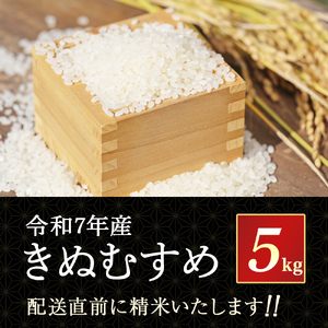 【在庫限定】令和7年産米 きぬむすめ 5kg （大上農園）数量限定 お米 こめ 白米 きぬむすめ